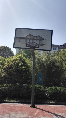 [莱茵南苑]物业为小区篮球板“换新颜” 