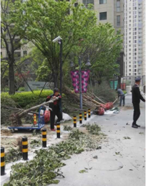   �����̻� ����԰������