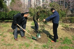 中远物业组织“拥抱春天播种绿色” 植树活动